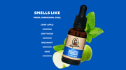Beard Oil 3-Pack - Fresh Pair