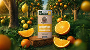 Summer Citrus Invisible Glide Deodorant - Clean Mood