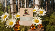Birchwood Breeze - Fresh Routine