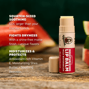 Lip Balm 4-Pack - Simple Edit