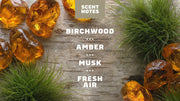 Birchwood Breeze - Fresh Routine