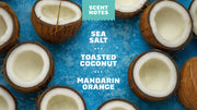 Coconut Castaway Deodorant - Active Fresh