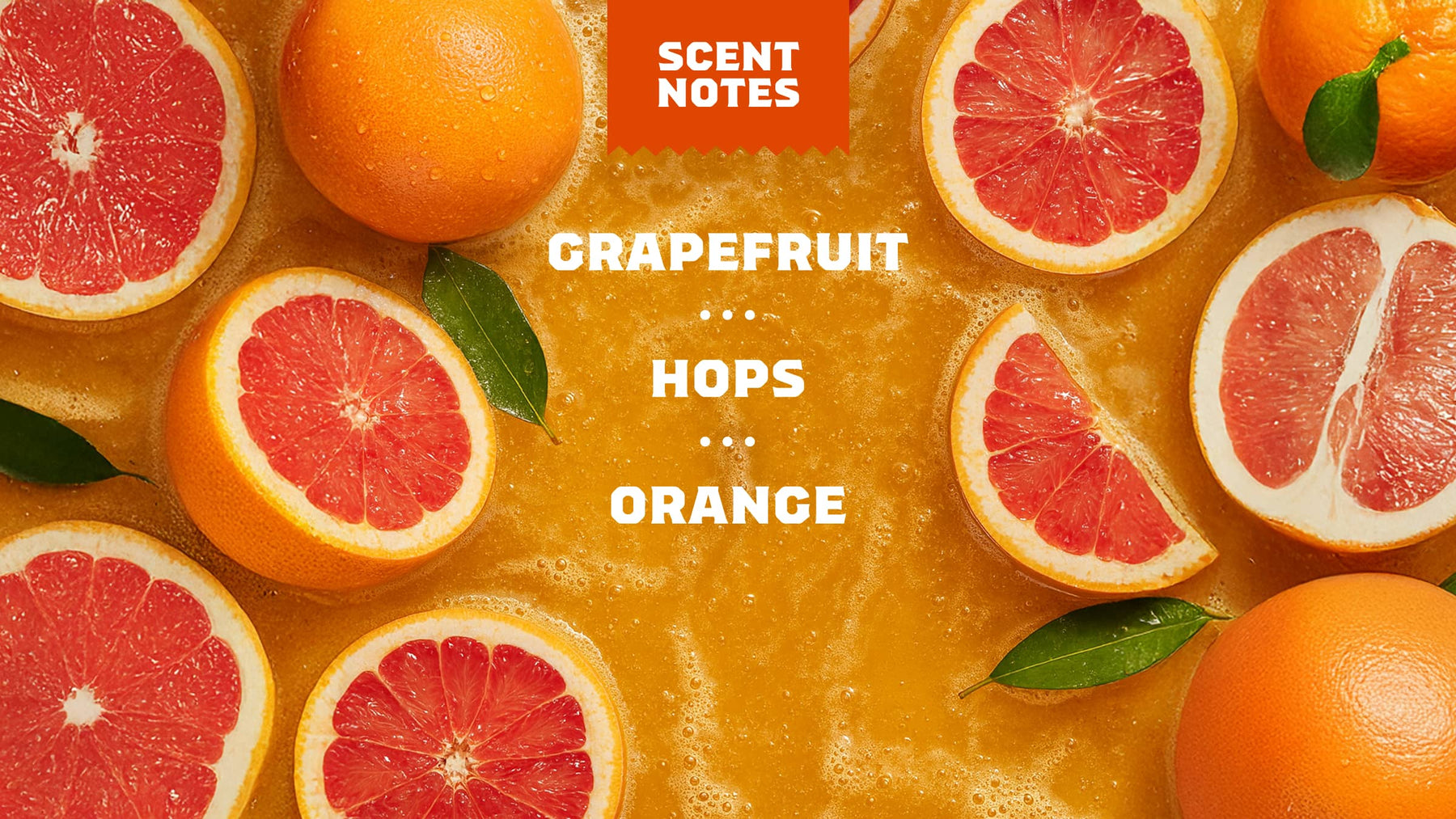 Grapefruit IPA - Fresh Start