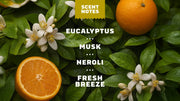 Mountain Meadow Deodorant - Daily Comfort