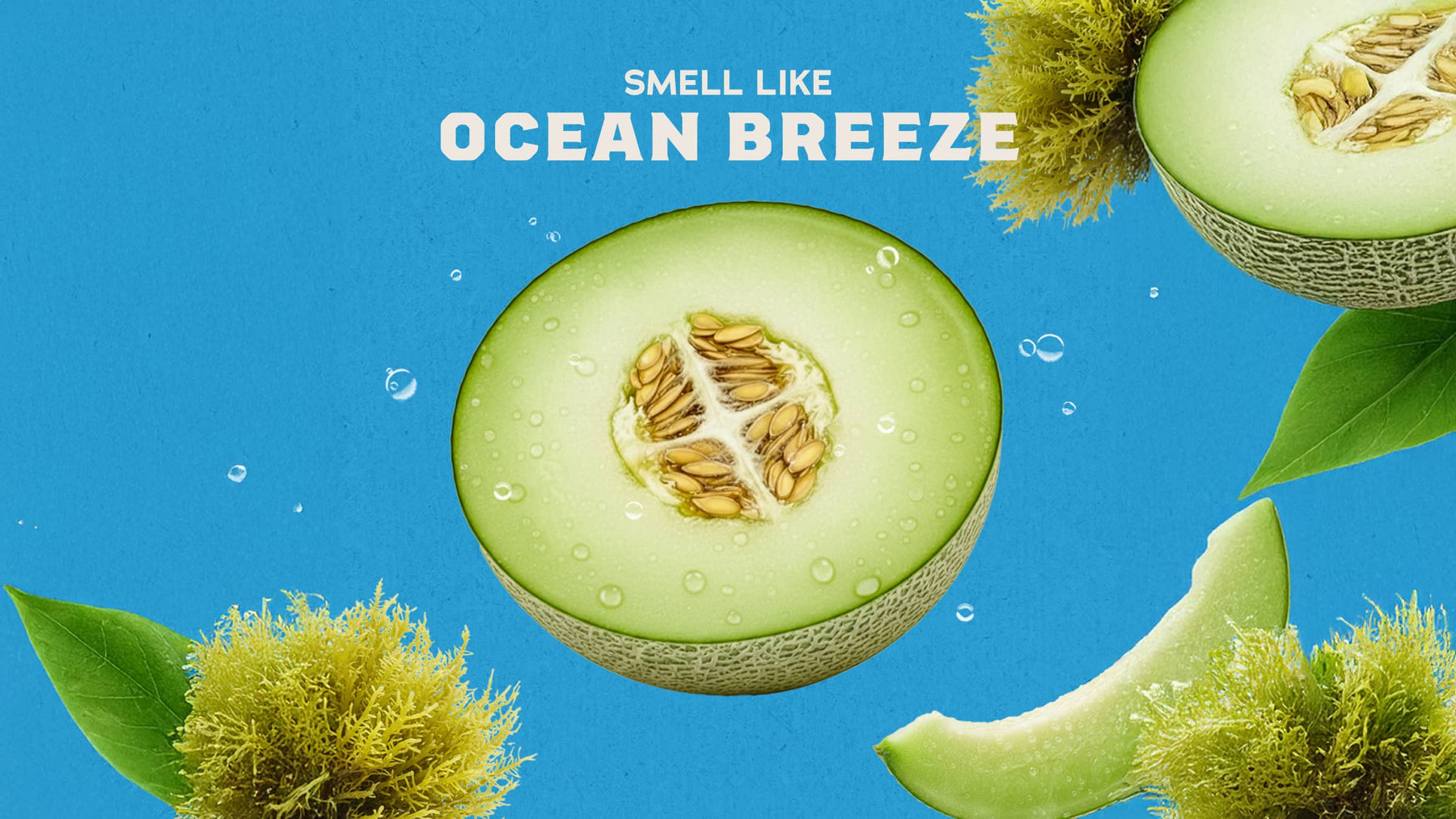 Coastal Mist - Daily Scent