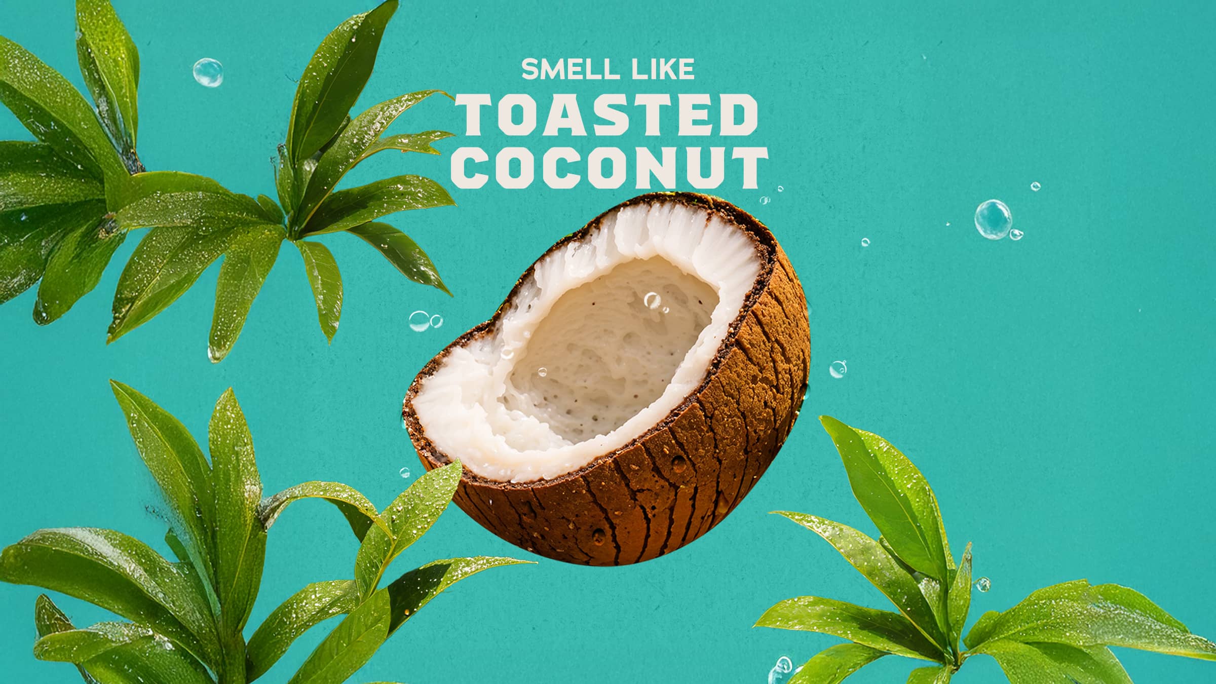 14 oz Coconut Castaway Body Wash - Home Glow
