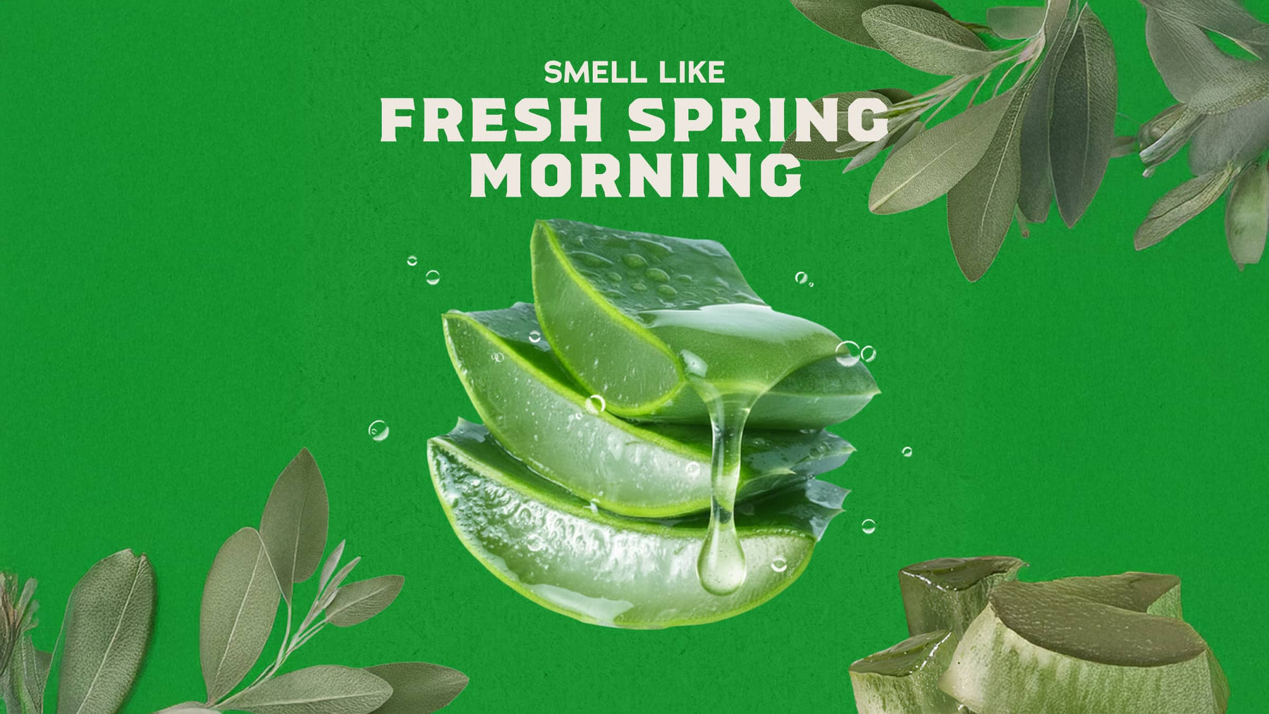 Cool Fresh Aloe Exfoliating Face Wash - Weekend Pair
