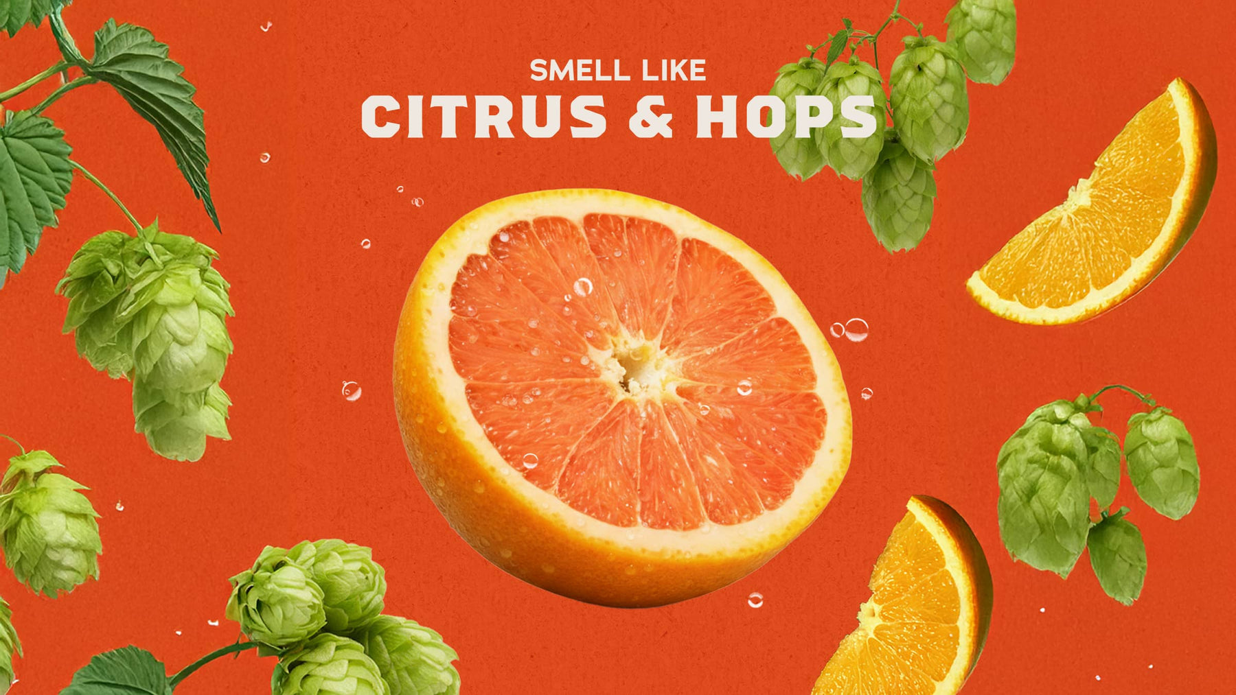 Grapefruit IPA - Fresh Start