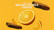 Summer Citrus Conditioner - Modern Blend